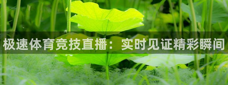 极速体育竞技直播：实时见证精彩瞬间