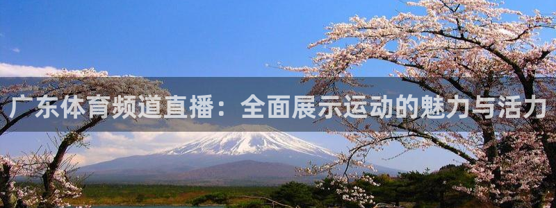 广东体育频道直播：全面展示运动的魅力与活力