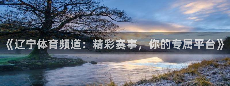 《辽宁体育频道：精彩赛事，你的专属平台》