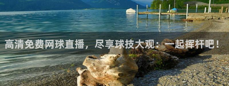 高清免费网球直播，尽享球技大观：一起挥杆吧！